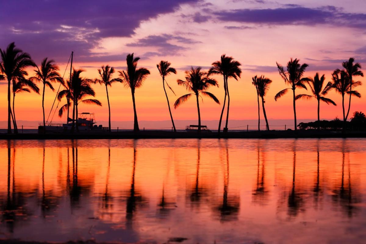 Renovated With City View At Aqua Palms Waikiki Honolulu Exteriör bild